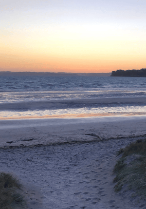 beach in the evening